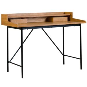 Př&iacute;rodn&iacute; dřevěn&yacute; psac&iacute; stůl Quax Hai-No-Ki 120 x 60 cm