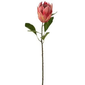 Uměl&aacute; květina J-line Proteas 67 cm